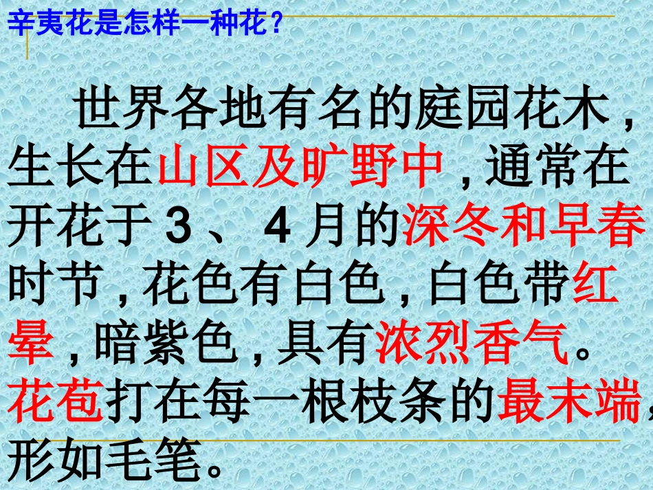 高中语文：(辛夷坞)课件粤教版选修系列 课件_第3页