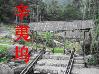 高中语文：(辛夷坞)课件粤教版选修系列 课件