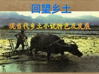 高二语文(小二黑结婚)教学课件 人教版 课件