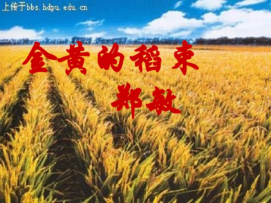 高中语文 (金黄的稻束) 课件1 新人教版选修(中国现代诗歌散文欣赏) 课件_第1页