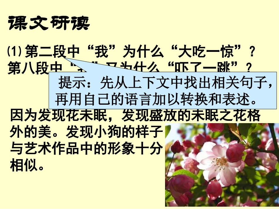 高中语文 (花未眠)复习课件 旧人教版 课件_第3页