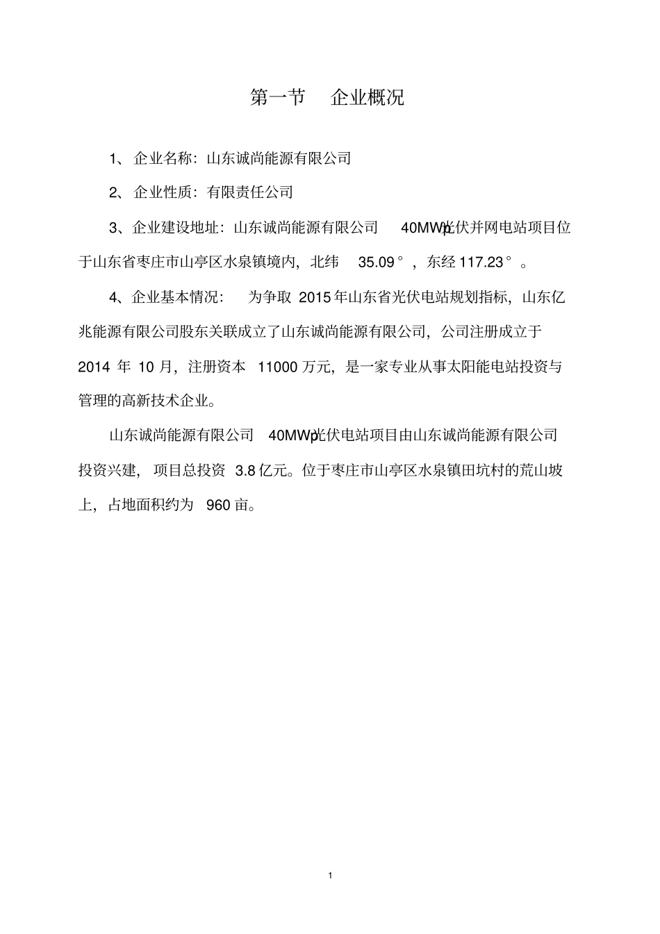 光伏电站自查报告_第2页