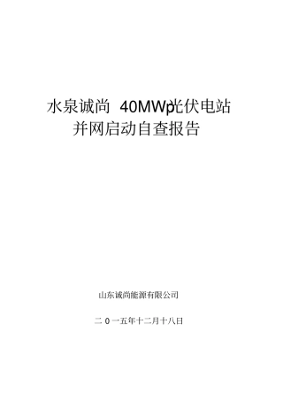 光伏电站自查报告