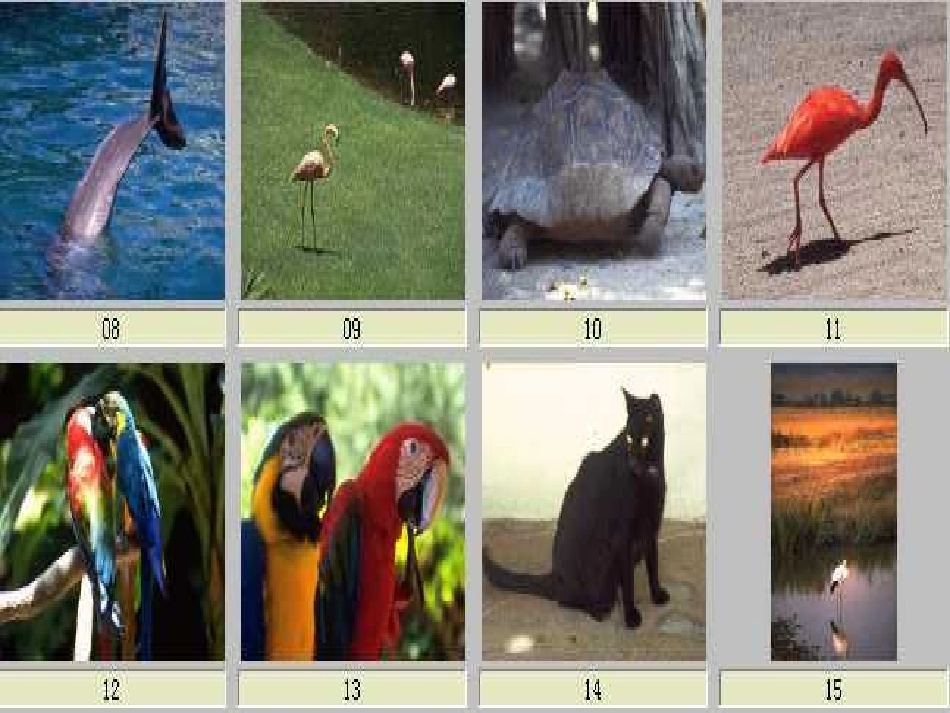 高二英语Unit19 Language Awareness课件 北师大版 课件_第2页