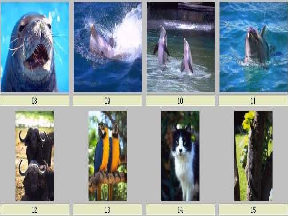 高二英语Unit19 Language Awareness课件 北师大版 课件_第3页