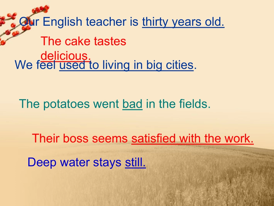 高中英语 Unit1 Getting along with others 五种基本句型及巩固练习精品课件 牛津译林版必修5 课件_第3页