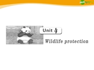 高考英语 第一部分 Unit4__Wildlife_protection课件 新人教版必修2 课件