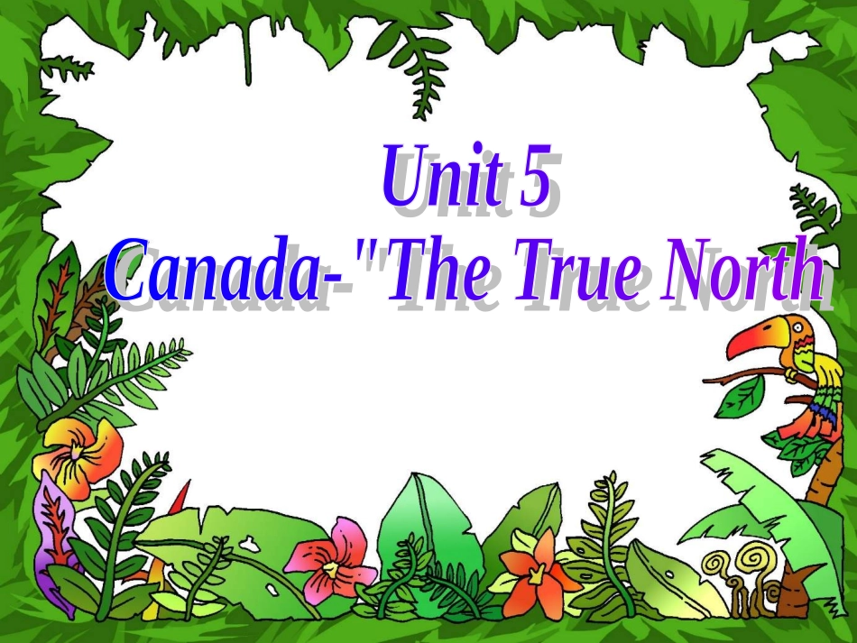 高中英语 Reading公开课课件 新人教版必修3 课件_第1页