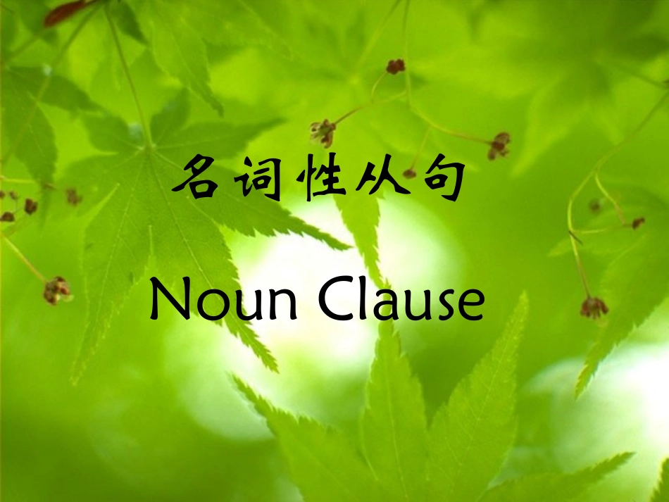 高三英语语法 名词性从句 新课标 人教版 课件_第1页