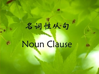 高三英语语法 名词性从句 新课标 人教版 课件