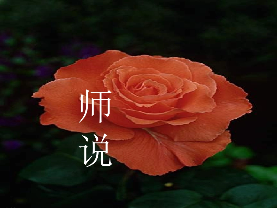 高一语文 4-17(师说)课件精品课件 粤教版必修4 课件_第1页