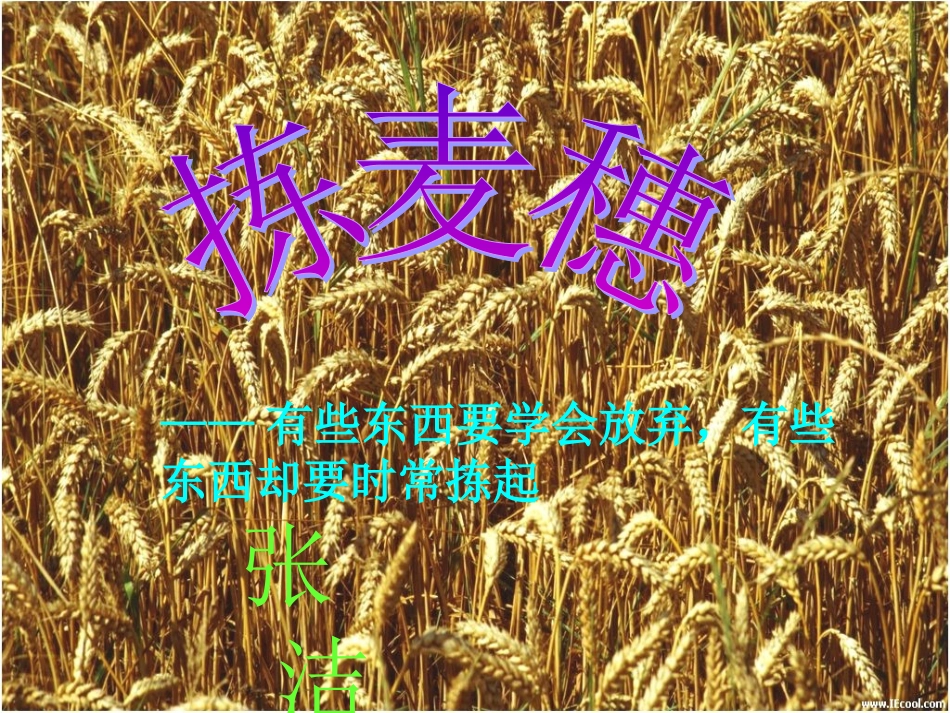 高中语文拣麦穗课件2 粤教版 必修1 课件_第2页