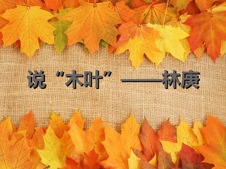 高中语文9说木叶课件新人教版必修5_第1页