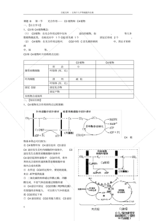 光合作用──C3植物和C4植物