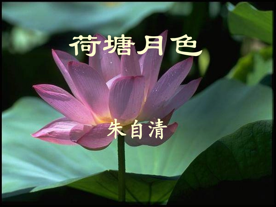 高中语文(荷塘月色)教学课件 新人教版必修2 课件_第1页