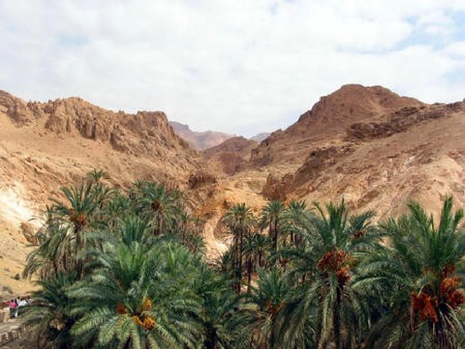 高中语文(中国现代诗歌散文欣赏)(树)课件_第3页