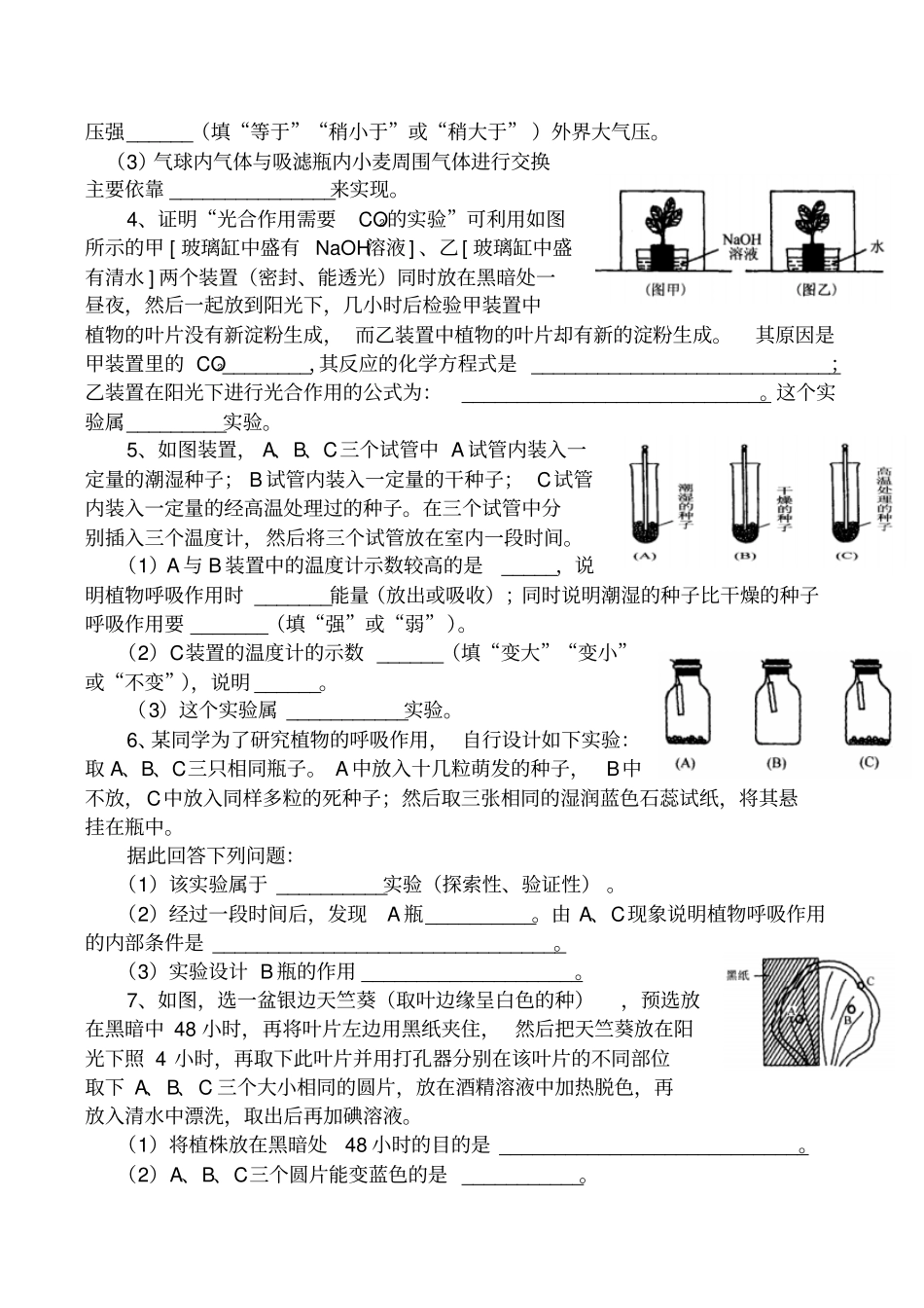 光合作用和呼吸作用同步练习_第2页