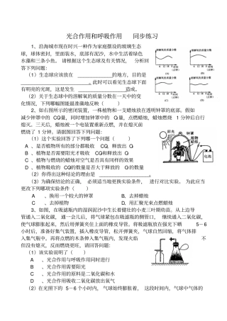 光合作用和呼吸作用同步练习