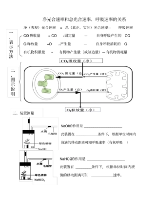 光合速率呼吸速率净光合速率表示法