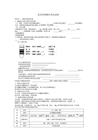 光合作用知识点归纳总结,推荐文档