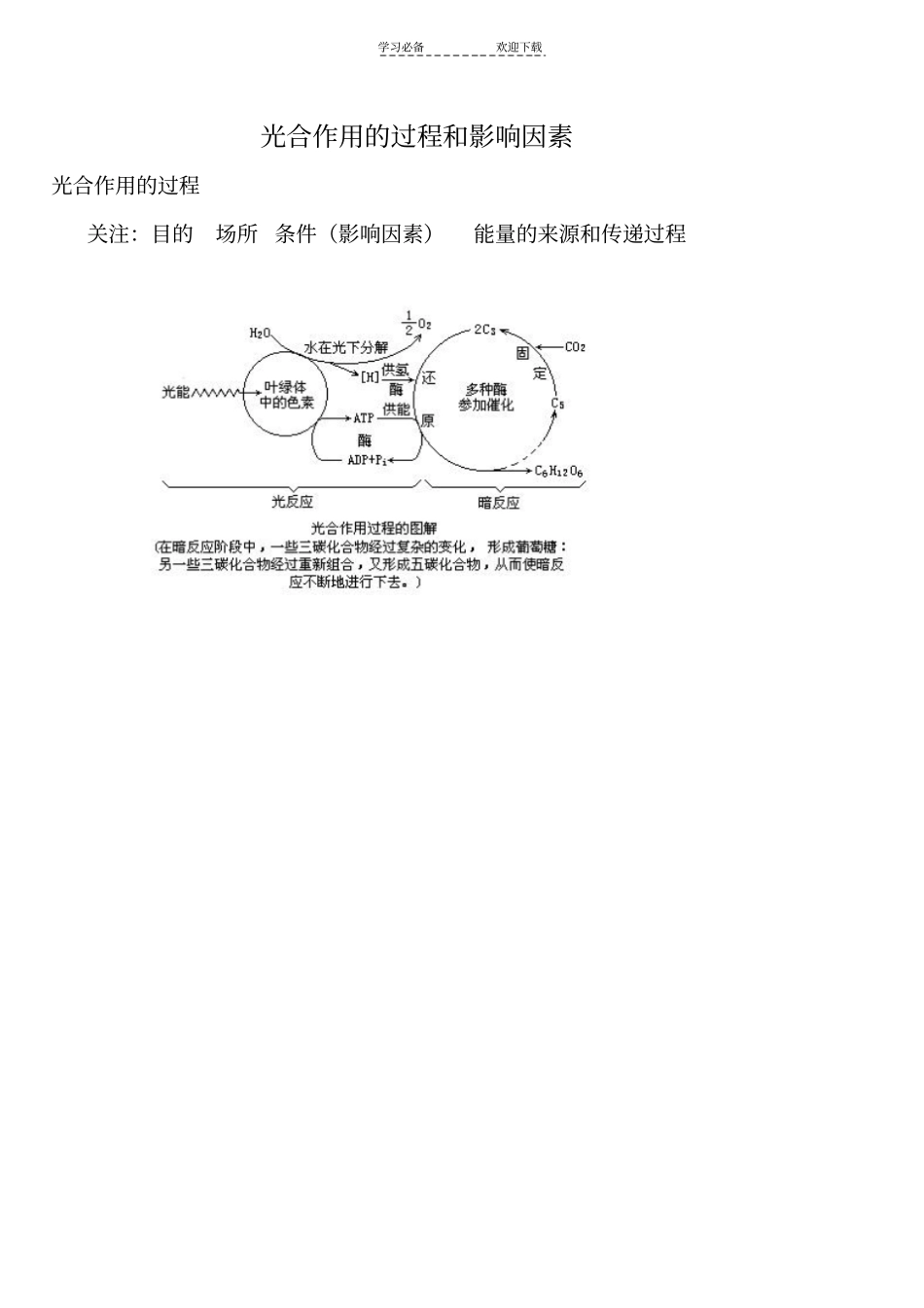 光合作用讲义经典高考题_第1页