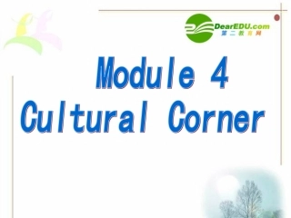 高二英语 Module 4(Which English--Cultural Corner)课件(外研版选修8) 课件