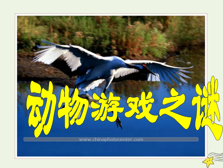 高中语文第四单元12动物游戏之谜课件1新人教版必修3 课件_第2页