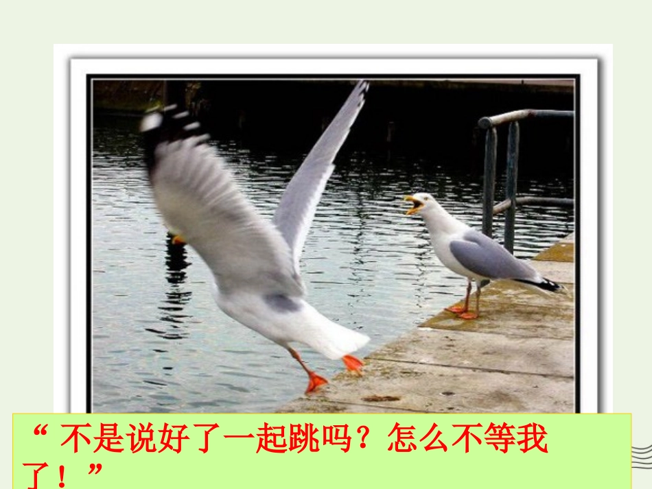 高中语文第四单元12动物游戏之谜课件1新人教版必修3 课件_第3页