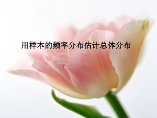 高中数学用样本的频率估计总体的分布课件 新课标 人教版 必修3B 课件