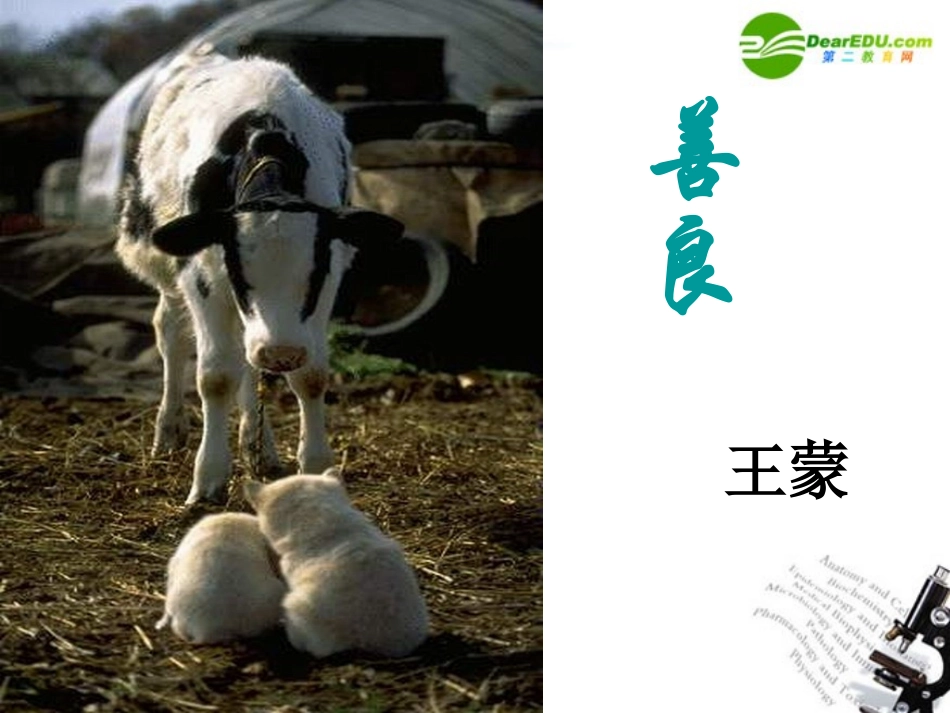 高中语文(善良)精品课件 粤教版必修4 课件_第1页