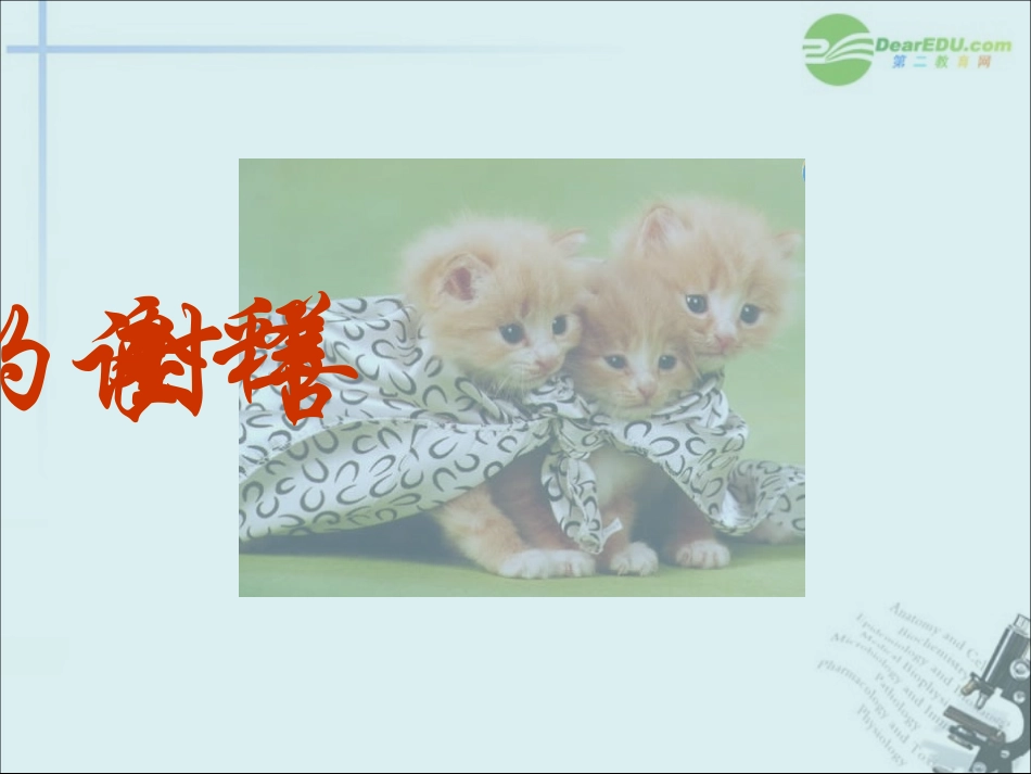 高中语文(善良)精品课件 粤教版必修4 课件_第2页