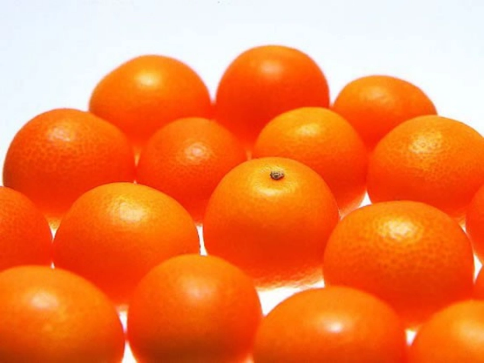 生活中的立体图形课件 北师大版 课件_第3页