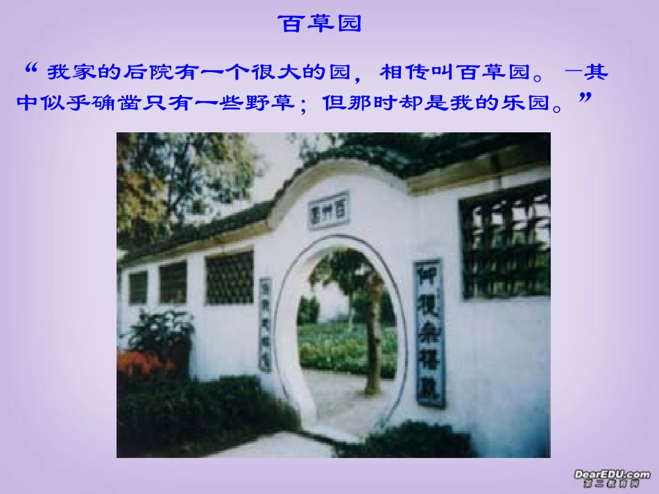 高一语文记念刘和珍君课件 新课标 人教版 课件_第3页