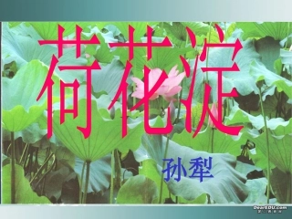 高一语文荷花淀课件 粤教版 必修3 课件