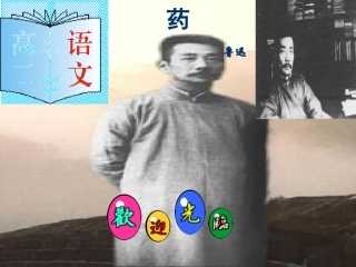 高中语文必修3药5ppt 课件