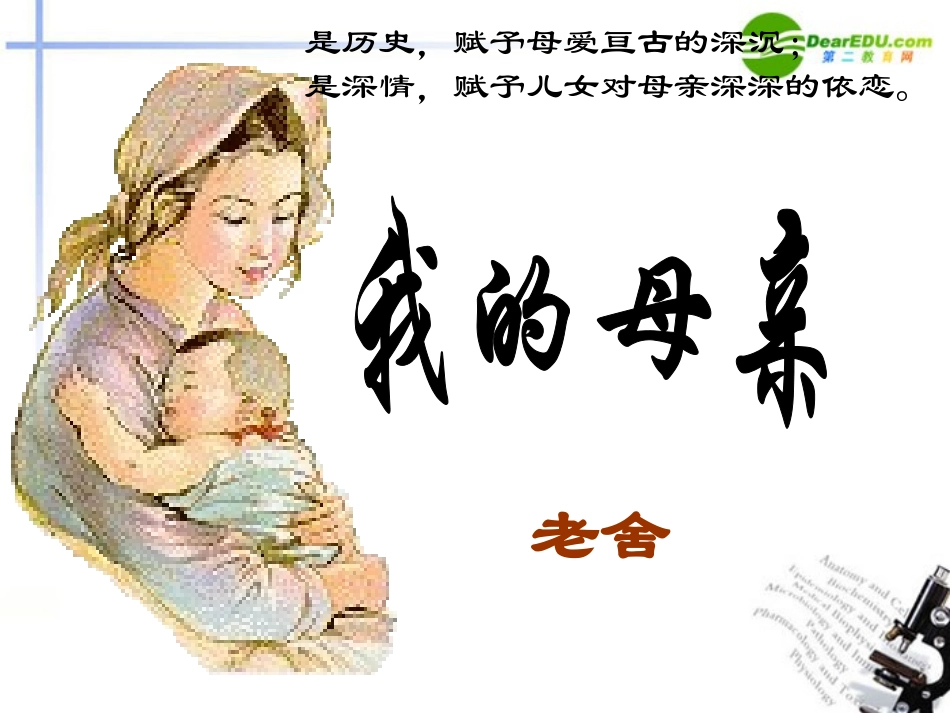 高中语文 第一单元第1课(我的母亲)课件(1) 粤教版必修2 课件_第2页