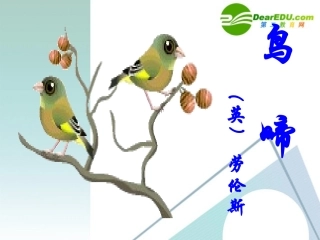 高中语文 珍爱生命鸟啼课件 苏教版必修2 课件