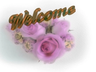 高中英语 Unit14 lesson2 Interviews课件 北师大版必修4 课件