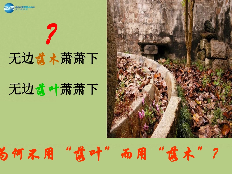 高中语文 说 木叶 课件 新人教版必修5 课件_第3页