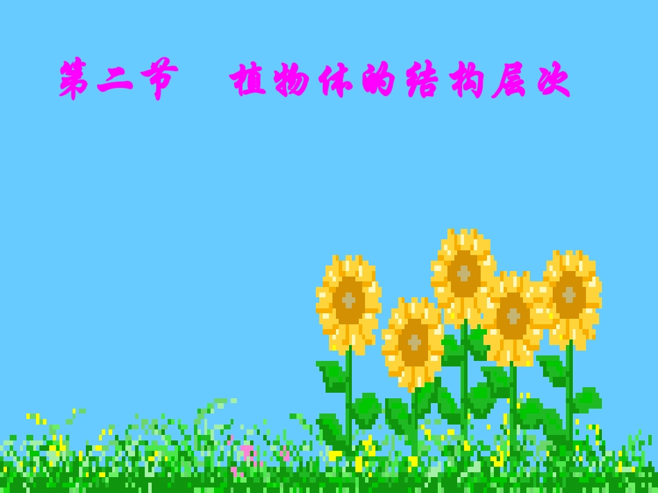 植物的结构层次七年级生物上册 课件_第1页