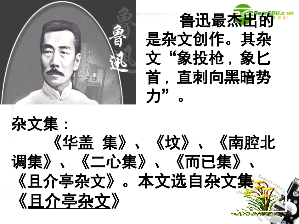 高中语文(拿来主义)精品课件 粤教版必修4 课件_第3页