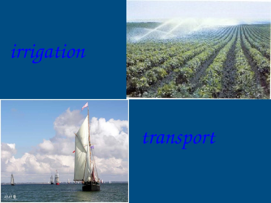 高中英语 unit13 The Water Planit课件 新人教版 课件_第3页