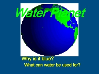 高中英语 unit13 The Water Planit课件 新人教版 课件