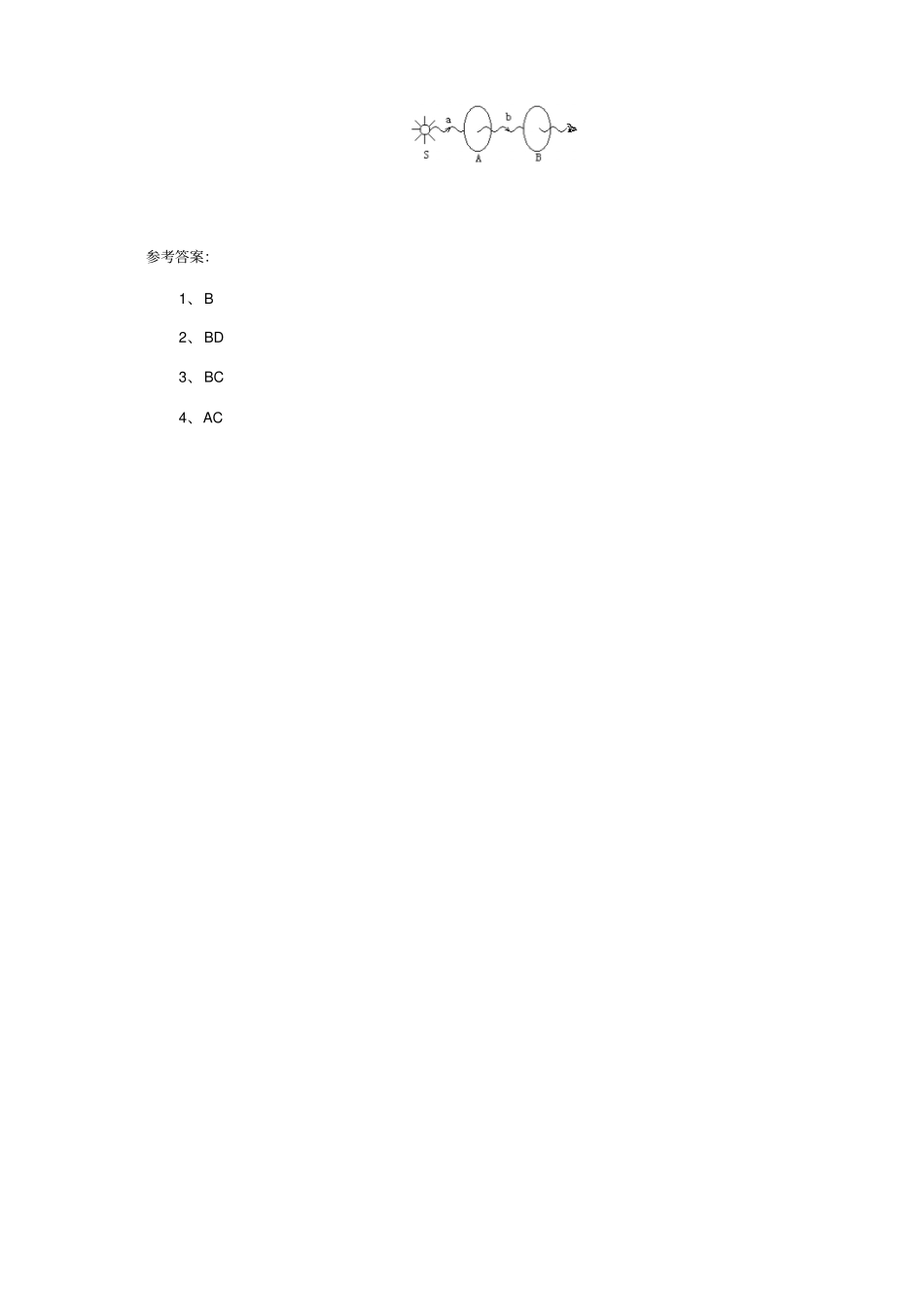 光的偏振激光知识点_第3页