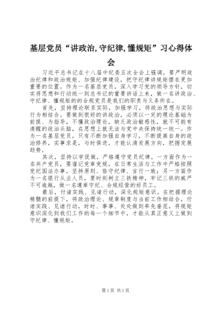 基层党员“讲政治,守纪律,懂规矩”习心得体会