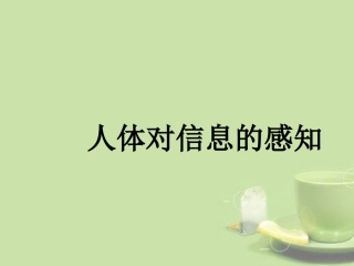 甘肃省会宁县七年级生物下册(人体对信息的感知)课件(1)  课件