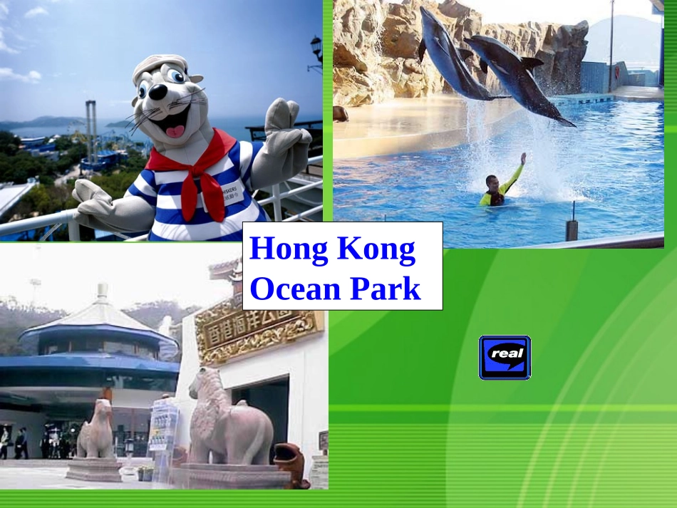 高中英语：Book4 unit5 Theme parks Reading课件 人教版必修4 课件_第3页