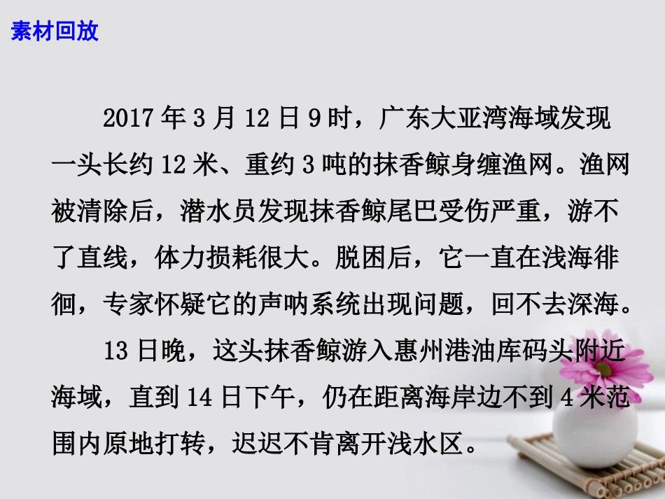 高考语文作文素材快递不懂得敬畏环境下一个哭泣的就将是人类自己课件-2_第3页