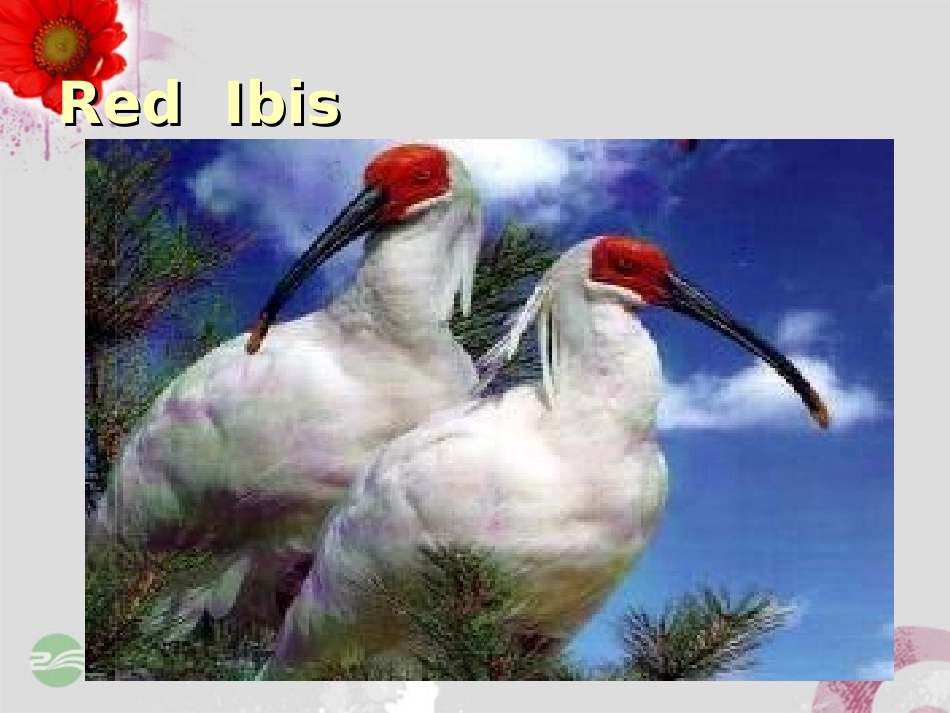 高中英语 Module 6 Reading and Writing1精品课件 外研版必修5 课件_第3页