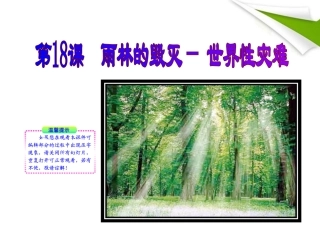 版八年级语文上册 第18课 雨林的毁灭——世界性灾难 课新课标同步授课件 语文版 课件
